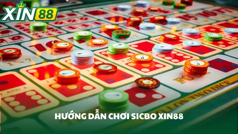Hướng dẫn cách chơi Sicbo Xin88 cho người mới
